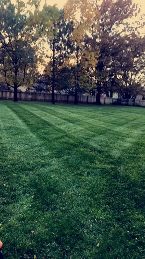 Manicured lawn stripes
